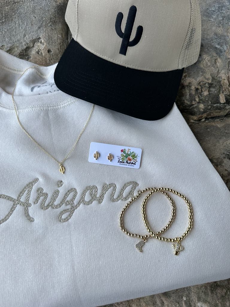 Simple Cactus Black and Tan Hat
