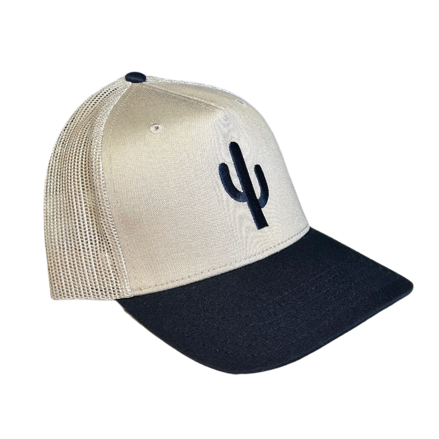 Simple Cactus Black and Tan Hat