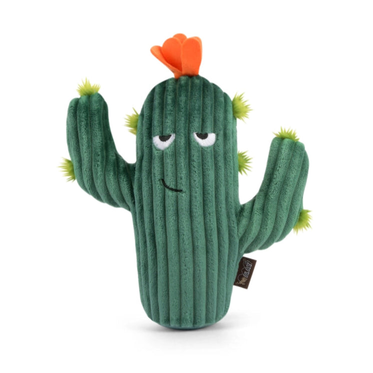 Prickly Pup Cactus