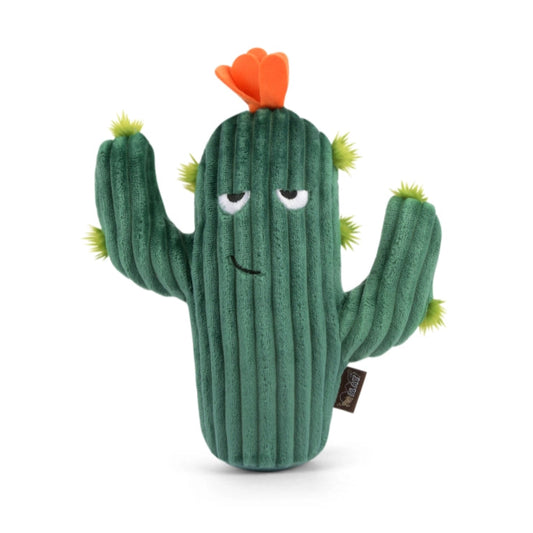 Prickly Pup Cactus
