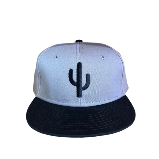 Simple Cactus Black and Grey Flat Bill Hat