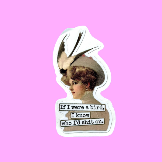 If I Were A Bird, I Know Who I'd Shit On Sticker