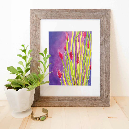 "Brilliant Ocotillo" Watercolor Print