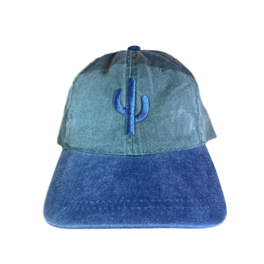 Simple Cactus Navy and Green Dad Hat