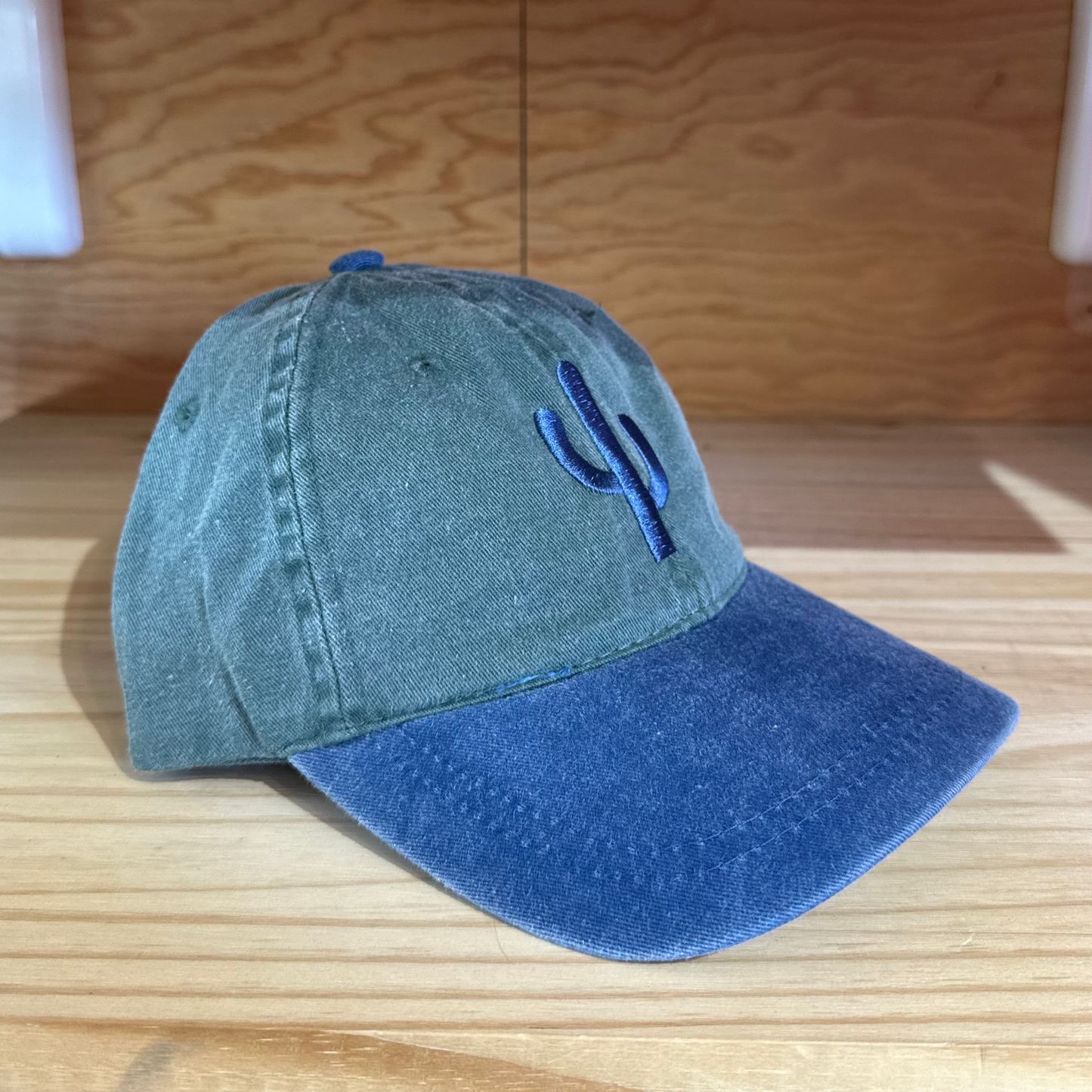 Simple Cactus Navy and Green Dad Hat