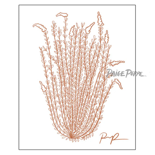 "Ocotillo Rising" Art Print