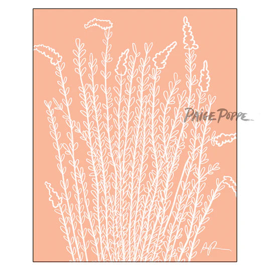 "Whispering Ocotillo" Art Print