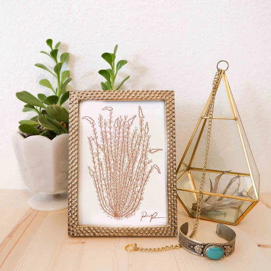 "Ocotillo Rising" Art Print