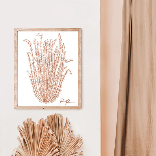 "Ocotillo Rising" Art Print